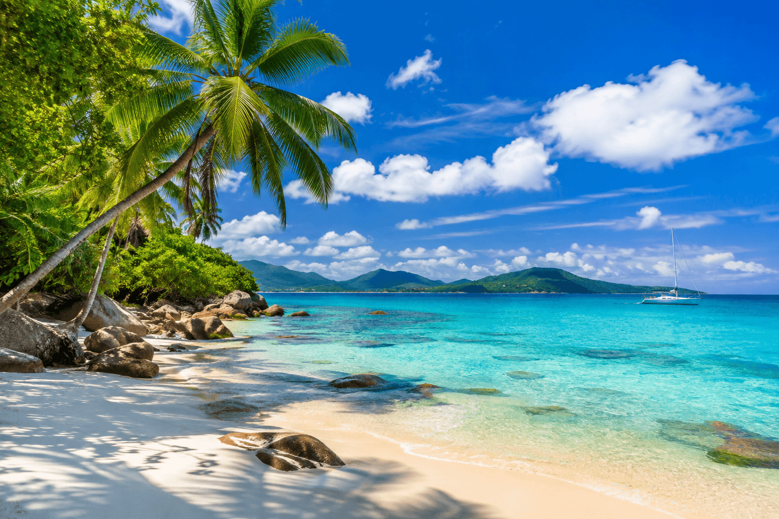 A Caribbean shoreline with turquoise water and palms.
